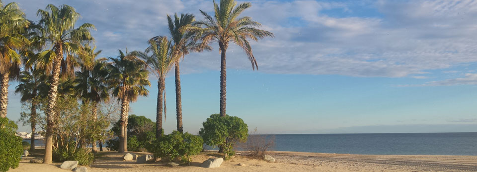 Passeig marítim de Cambrils