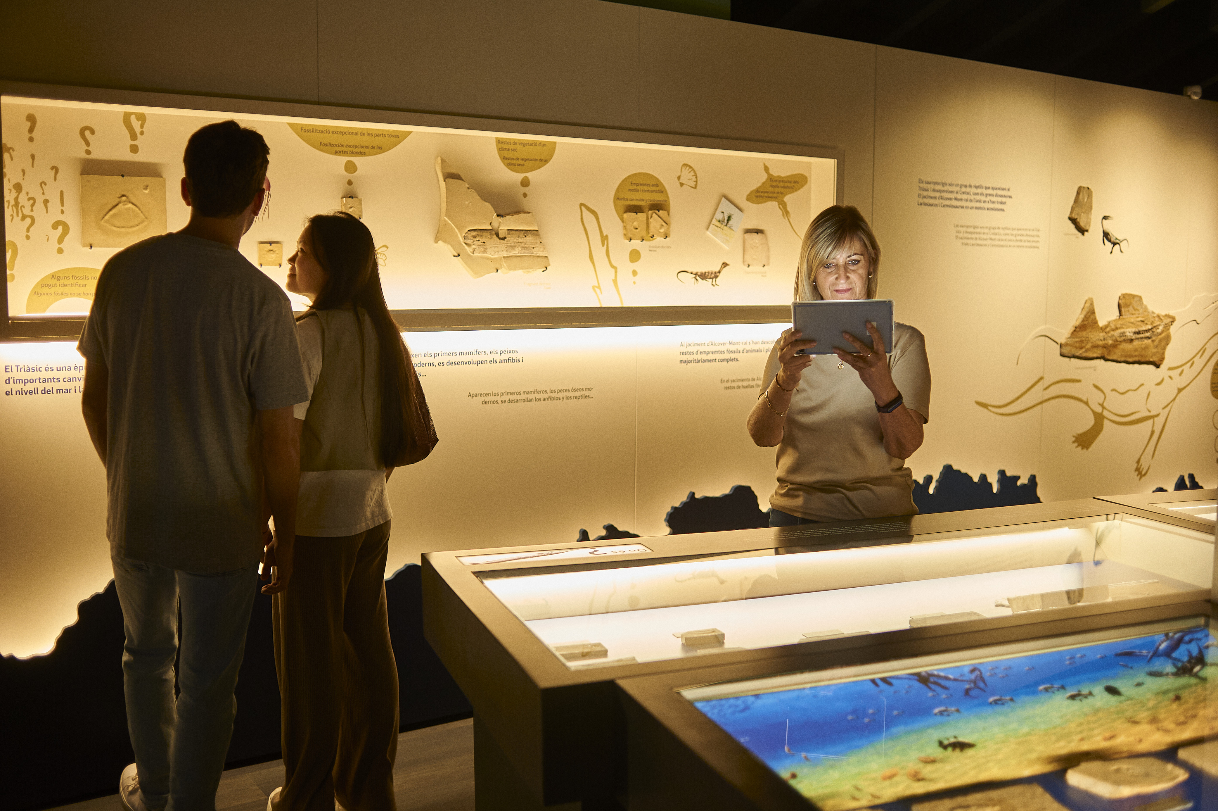 @museu_alcover