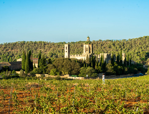 Monestir Santes Creus Monestir Santes Creus