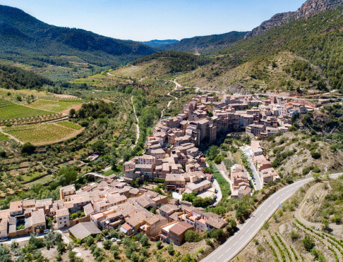 Vilella Baixa_©Consell Regulador de la DOQ Priorat | Vilaniu Comunicació